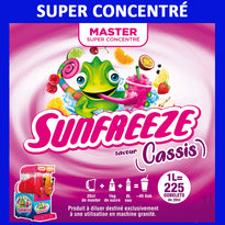 Produit Granita Master Concentré Cassis - GelatoPro.fr