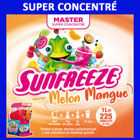 Produit Granita Master Concentré Melon Mangue - GelatoPro.fr