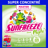 Produit Granita Master Concentré Mojito - GelatoPro.fr