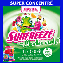 Produit Granita Master Concentré Menthe Verte - GelatoPro.fr