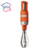 Mixeur Plongeant Dynamix Master Fouet De 5 À 20L - GelatoPro.fr
