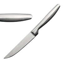 Couteau À Steak Comas Satin 224Mm - GelatoPro.fr