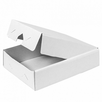 Boîte De Transport Pour Plateau Type Traiteur 19 X 28 Cm - Pack De 25 Unités - GelatoPro.fr