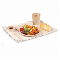 Plateau Jetable En Carton Micro-Cannelé 24X31Cm - Carton De 50 Unités - GelatoPro.fr