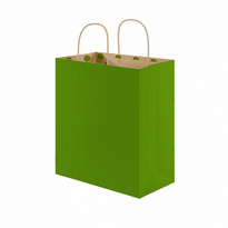 Sac Papier Avec Anse 20+10X29Cm - Vert -  Kraft Vergé 80G/M2 - Carton De 250 - GelatoPro.fr