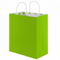 Sac Papier Avec Anse 32+16X31Cm - Vert Anis -  Kraft Vergé 80G/M2 - Carton De 250 - GelatoPro.fr