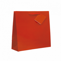 Sac Boutique Plastifié Avec Anse 19+10X27Cm Rouge -  Pack De 100 - GelatoPro.fr