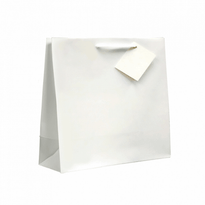 Sac Boutique Plastifié Avec Anse 19+10X27Cm Blanc -  Pack De 100 - GelatoPro.fr