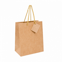 Sac Boutique Avec Poignée Ficelle 19+10X27 Cm  Kraft -  Carton De 100 Unités - GelatoPro.fr