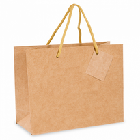 Sac Boutique Avec Poignée Ficelle 40+15X32 Cm  Kraft -  Pack De 10 - GelatoPro.fr