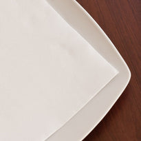 Serviette Double Point® 40X40Cm Blanche - Carton De 1300 Unités - GelatoPro.fr