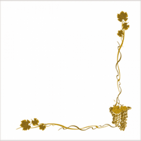 Serviette Double Point® 40X40Cm Bacchus - Carton De 1200 Unités - GelatoPro.fr