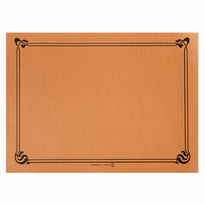 Set De Table 31X43Cm Havane - Carton De 2000 Unités - GelatoPro.fr