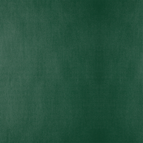 Nappe Pliée Vert Jaguar De 100 X 100 Cm - Carton De 200 Nappes - GelatoPro.fr