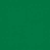 Serviette Soft Voie Sèche 40X40 Cm Vert Jaguar - Carton De 700 Unités - GelatoPro.fr