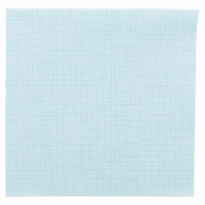 Serviette Soft Voie Sèche 40X40 Cm Texture Dry Cotton Caribean - Carton De 700 Unités - GelatoPro.fr