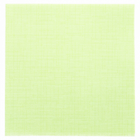 Serviette Soft Voie Sèche 40X40 Cm Texture Dry Cotton Kiwi - Carton De 700 Unités - GelatoPro.fr