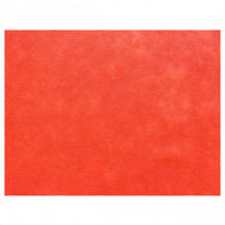 Set De Table 30 X 40 Cm Spunbond Rouge - Carton De 800 Unités - GelatoPro.fr