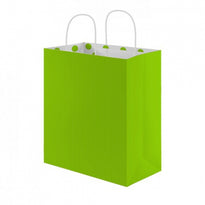 Sac Papier Avec Anse 26+14X32Cm- Vert Anis - Kraft Vergé80G/M2 - Carton De 250 - GelatoPro.fr