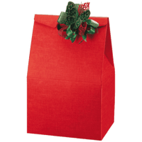 Coffret Carton 28X20X41Cm Rouge- Carton  - Pack De 50 - GelatoPro.fr