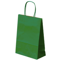 Sac Sos Avec Anse 20+10X29Cm Vert - Kraft 80G/M2-  Pack De 250 - GelatoPro.fr
