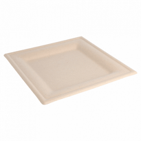 Assiette Carré En Cellulose Naturelle Fibre De Canne À Sucre  -Naturel - 20X20 Cm - Carton De 500 Unités - GelatoPro.fr