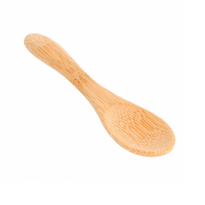 Cuillère En Bambou 9 Cm - Pack De 50 Unités - GelatoPro.fr