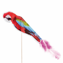 Décoration Pour Glaces Perroquet À Plumes 20 Cm - Pack De 100 Unités - GelatoPro.fr