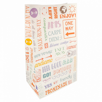 Sac Papier Sos Sans Anses 22 + 14 X 37 Cm Parole - Carton De 500 Unités - GelatoPro.fr