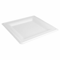 Assiette Carré En Cellulose Naturelle Fibre De Canne À Sucre  - Blanc - 20X20X1.5 Cm - Carton De 500 Unités - GelatoPro.fr