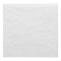 Serviette 2 Plis 30X30Cm Blanche - Pack De 100 Unités - GelatoPro.fr